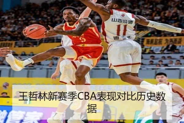 王哲林新赛季CBA表现对比历史数据